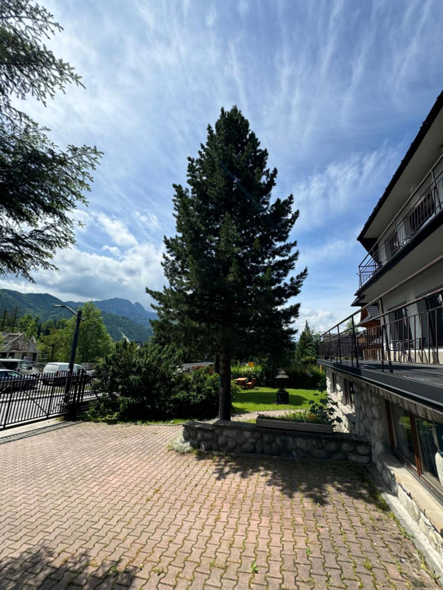 Kwatera Gorska 903Mnpm Zakopane Dış mekan fotoğraf